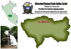 undac_la_merced.jpg